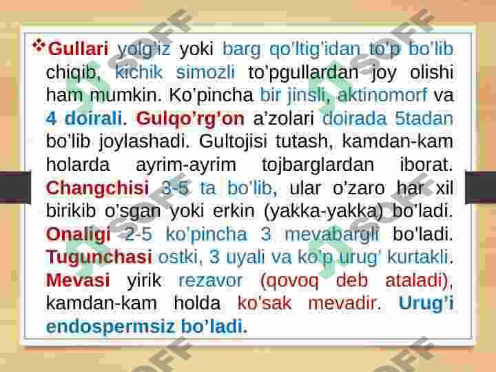 QOVOQDOSHLAR OILASI CUCURBITACEAE 7