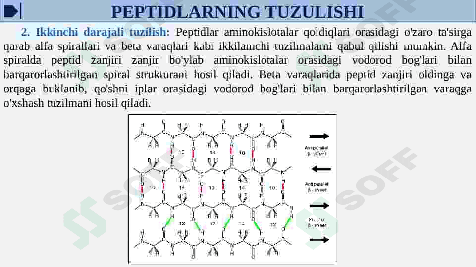 Oqsil tabiatli peptid va gormonlar. Proteinopatiyalar 7