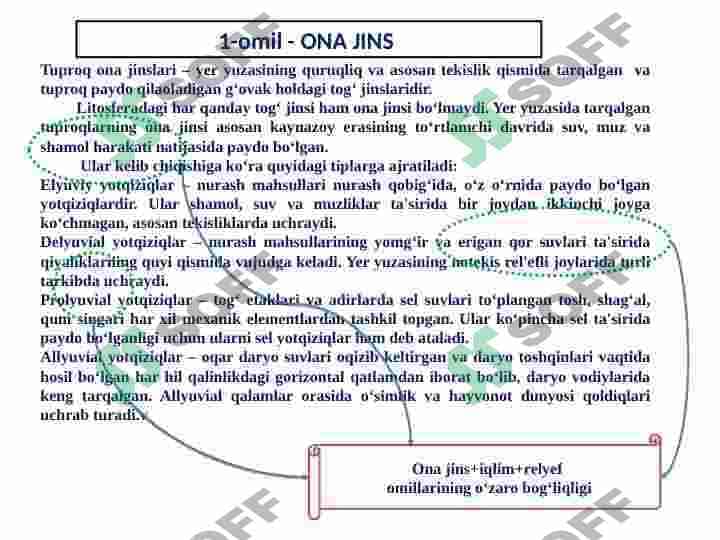 Tuproq hosil bo'lishiga ta'sir etuvchi omillar 8