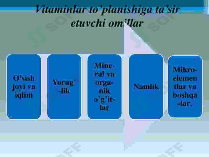 Tarkibida vitaminlar boʻlgan dorivor oʻsimliklar 8