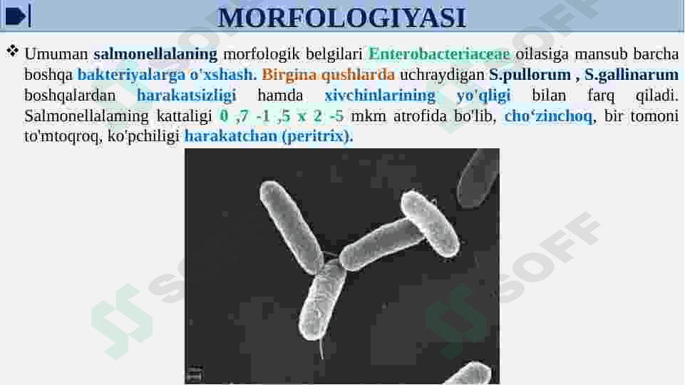 OVQATDAN ZAHARLANISH YUQUMLI KASALLIK QO’ZG’ATUVCHILARI. SALMONELLEZ VA BOTULIZM KASALLIK QO’ZG’ATUVCHILARI LABARATOR TASHXISI. 8