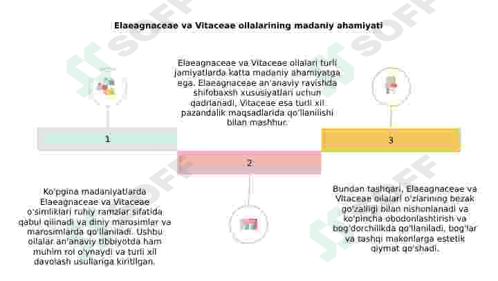 Jiydadoshlar(Elaeagnaceae) va Tokdoshlar (Vitaceae) oilalari 8