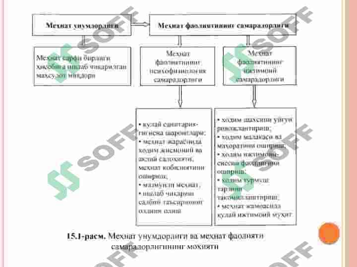 MEHNAT UNUMDORLIGI 8