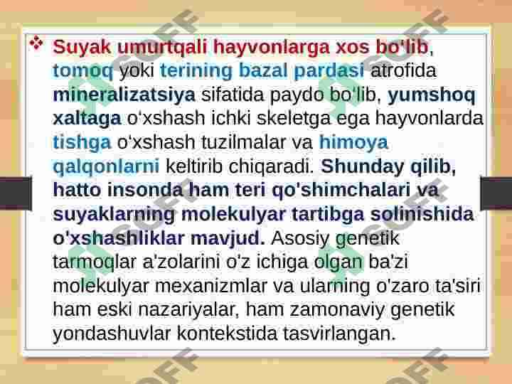 SKELET TIZIMI - FILOGENEZI VA BUZULISHLARI 8