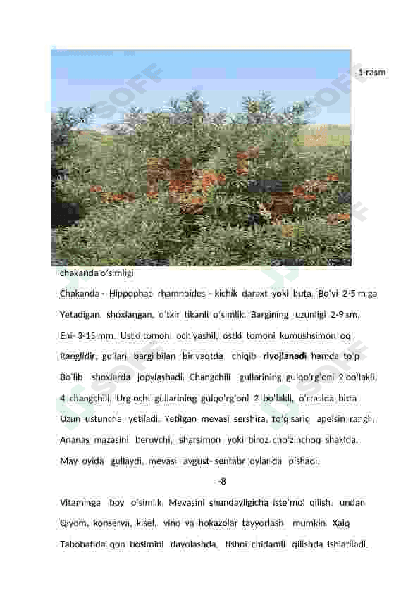 Jiydanamolar oilasi 8