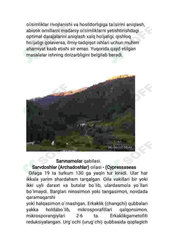 Sarvnomalar oilasi 8