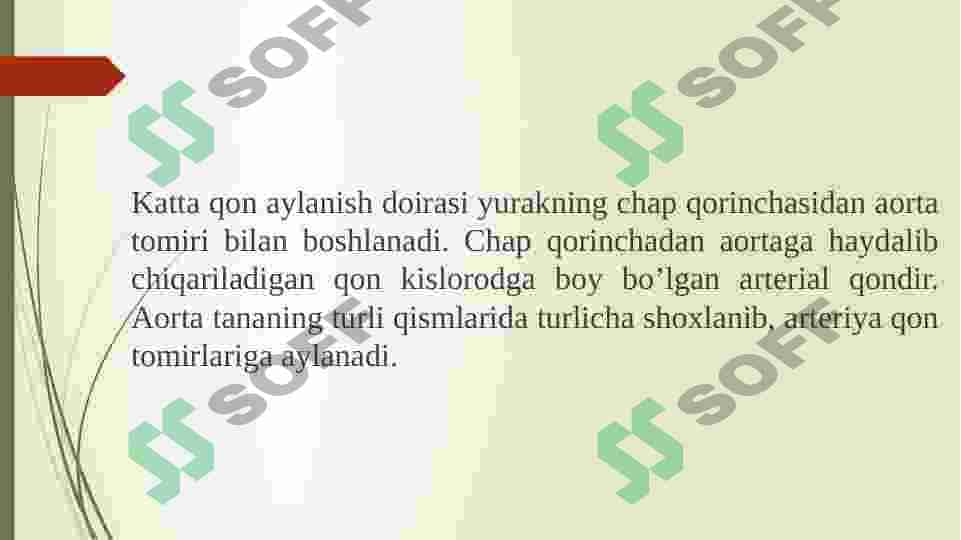 Qushlarning yurak qon tomirlari fiziologiyasi 8
