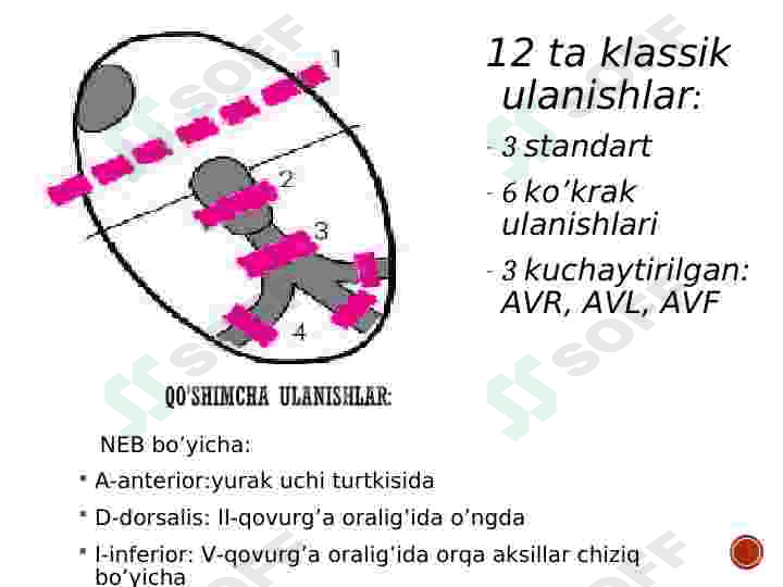 YURAK FAOLIYATINING BOSHQARILISH USULLARI 8