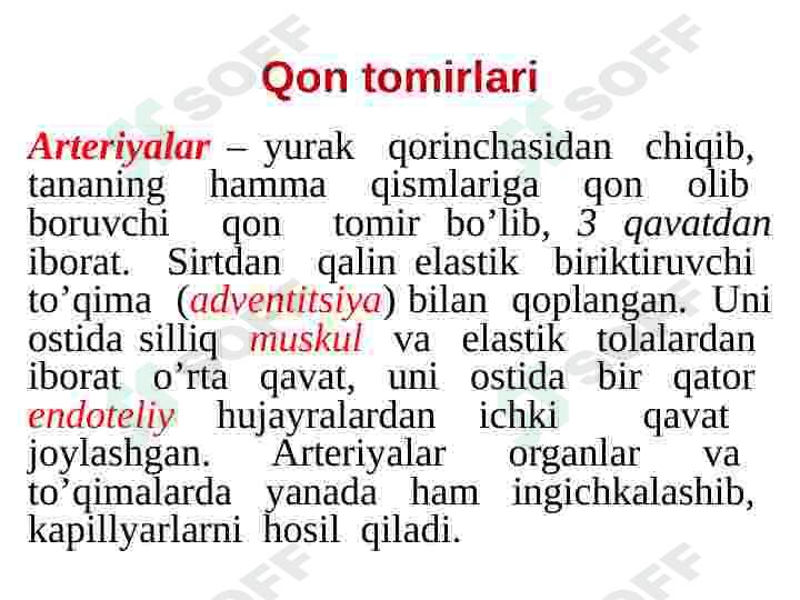 Yurak qon tomir tizimi 8