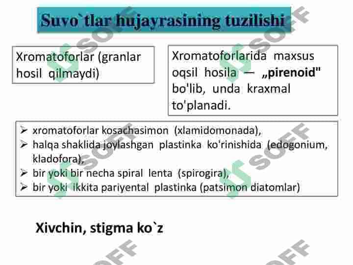 Koʻk yashil suvoʻtlar sinf 8