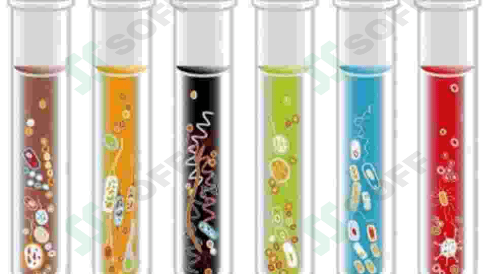 Fermentli biosensorlarning oziq ovqat sanoatida qoʻllanilishi 8