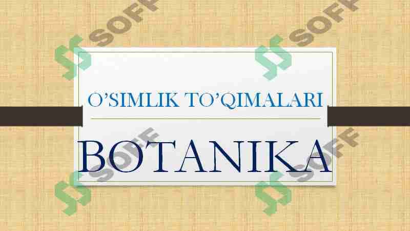 O’SIMLIK TO’QIMALARI 1