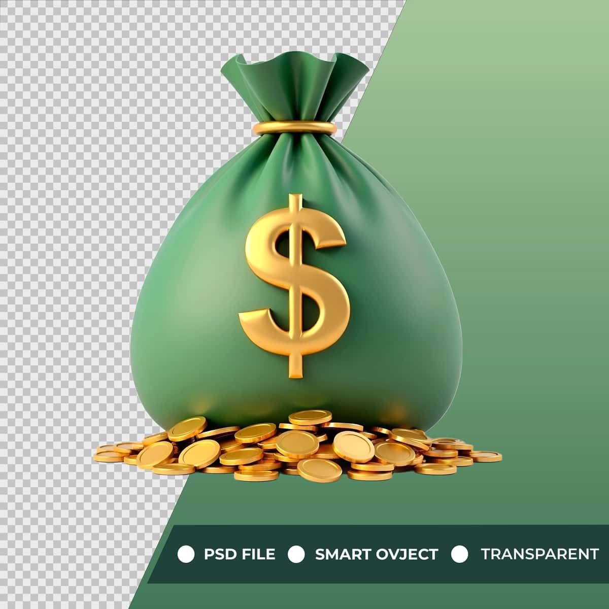 Dollar bilan yashil sumka pul belgisi | Green bag money with dollar sign it 1