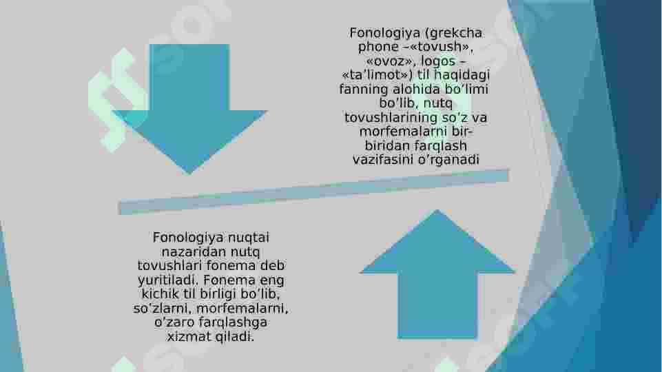 Fonema va fonologiya 2