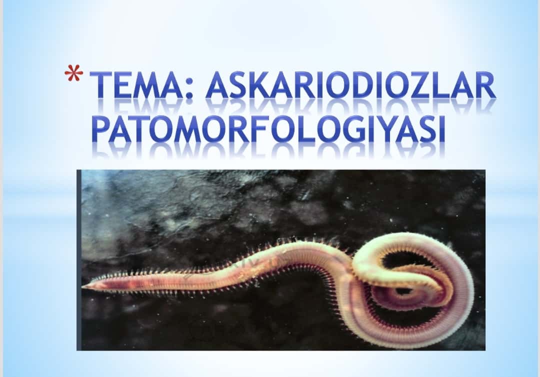 Askariodiozlar patomorfologiyasI 1