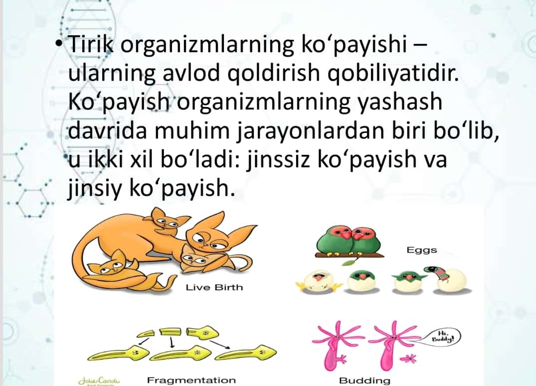Tirik organizmlarning ko‘payish xillari 1