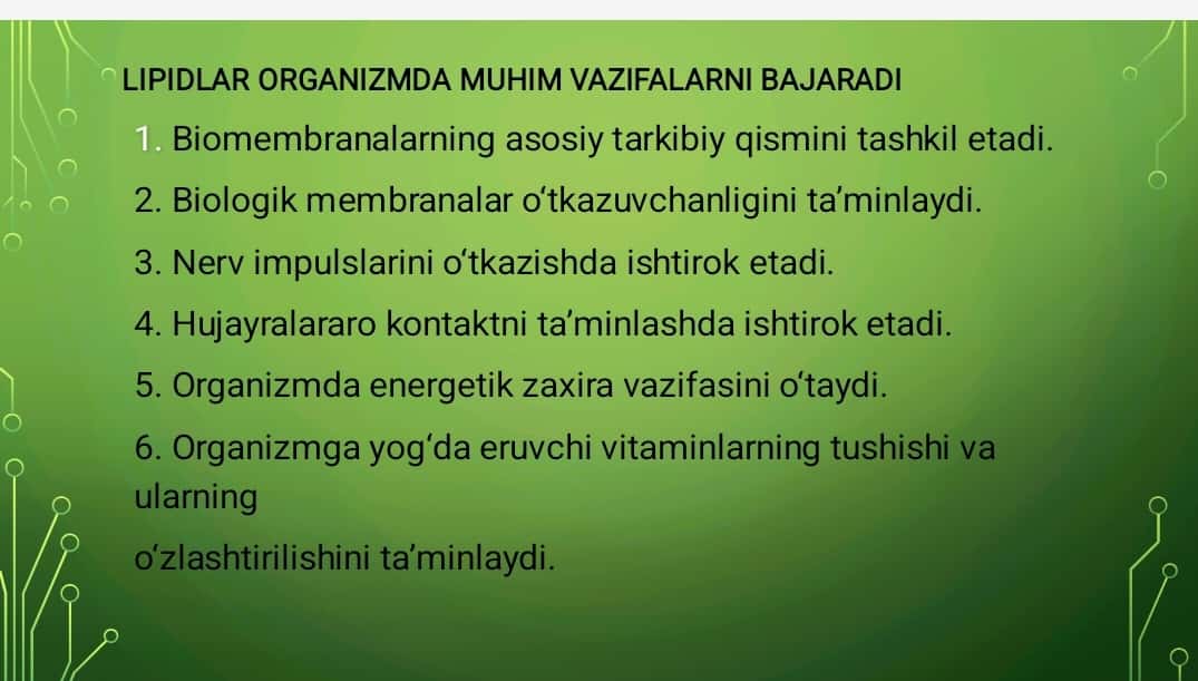 Lipidlarning tuzilishi, funksiyasi va metabolizmi 1