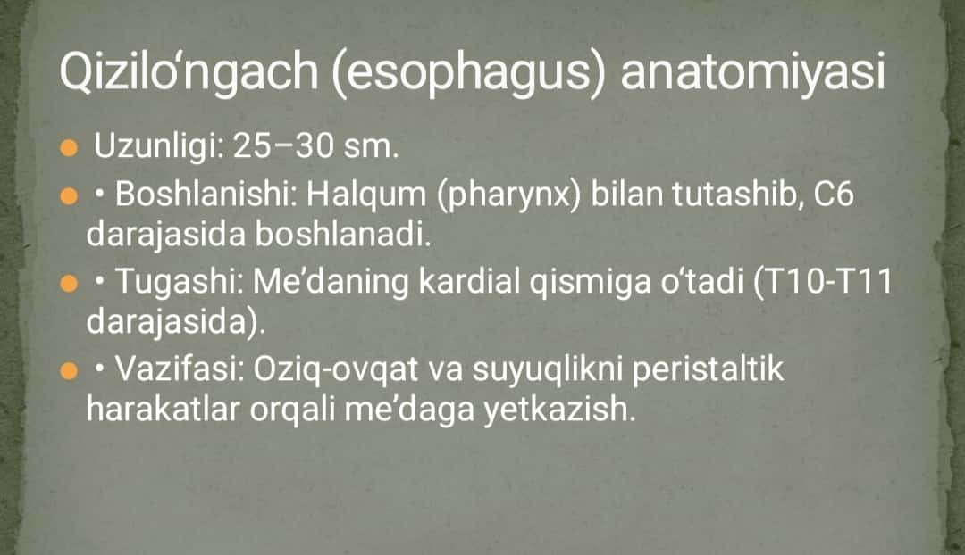 Qizilo‘ngachning tug‘ma va orttirilgan nuqsonlarida bajariladigan operatsiyalar 1