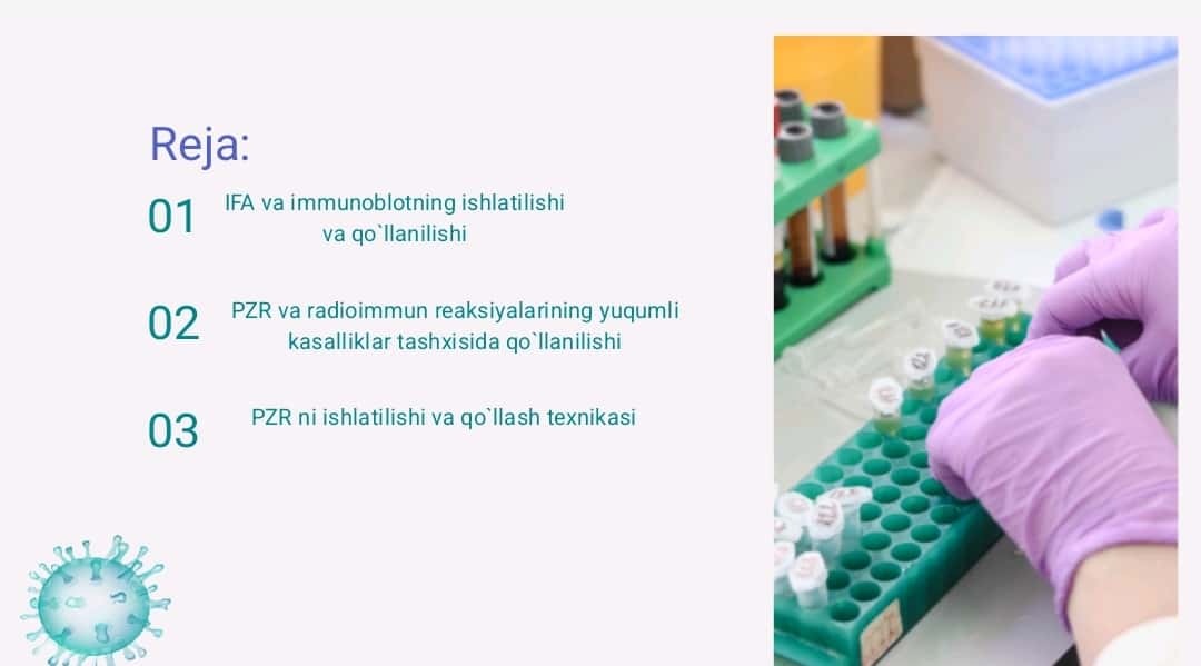 IFA, immunoblot, PZR, radioimmun reaksiyalarning yuqumli kasalliklar tashxisida qo`llanilishi, qo`yish texnikasi 1