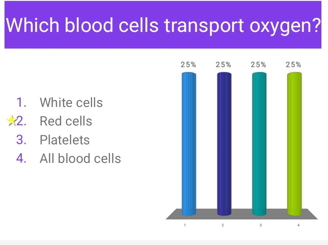 Circulatory system 1