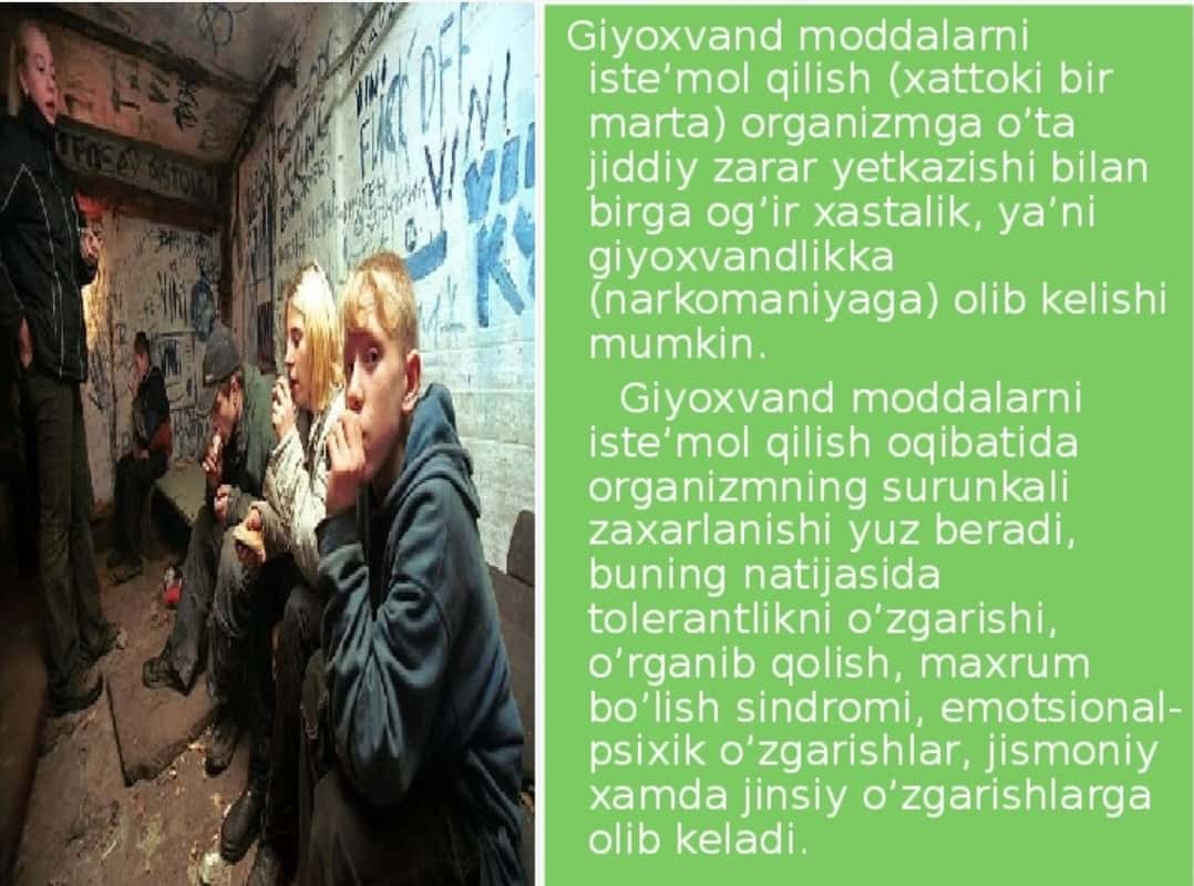 Narkomaniya, Giyohvandlik.Narkotik dori vositalari 2