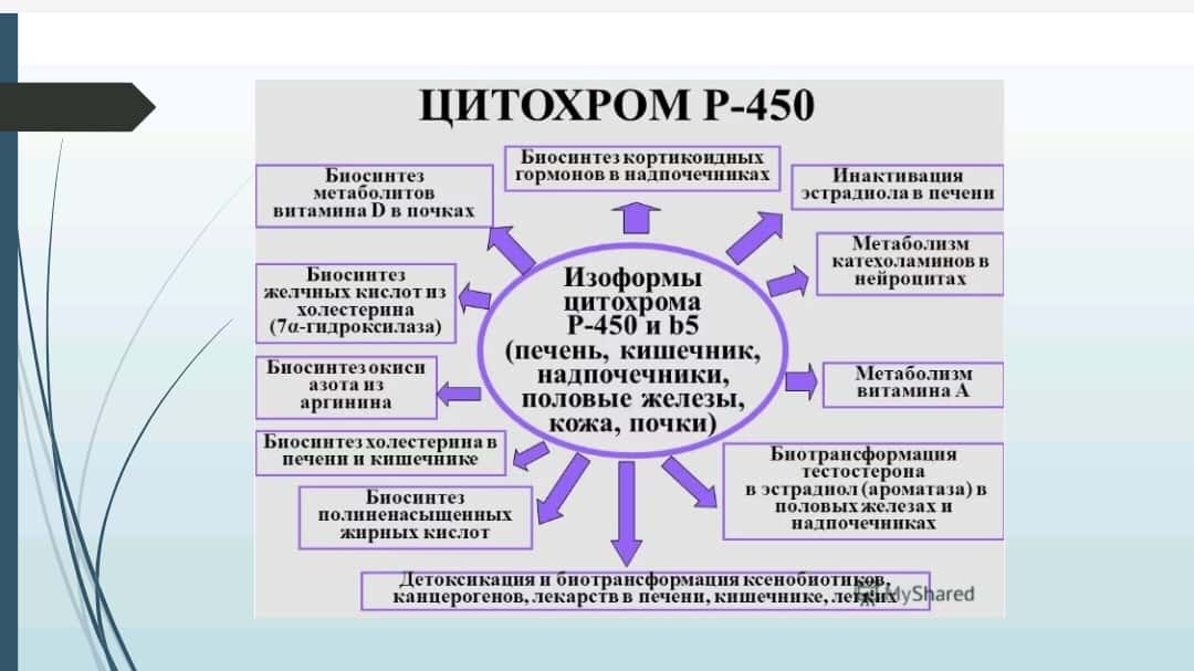 Mavzu: Sitoxrom P450 induktorlari va ingibitorlari klinikada qo’llanilishi. Sitoxrom P450 geni polimorfizmi, davolashning personifikatsiya asoslari. Etanol metobolizmi. ALDG fermentining izoformalari. 1