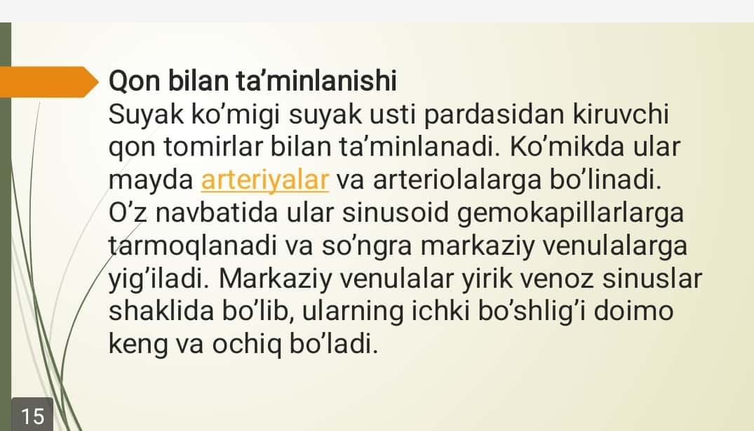 Suyak koʻmigi: rivojlanishi, tuzilishi va vazifasi. Qizil suyak koʻmigi, Sariq suyak koʻmigi 1