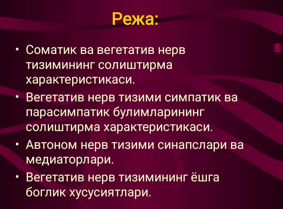 Vegetativ nerv sistemasi 1