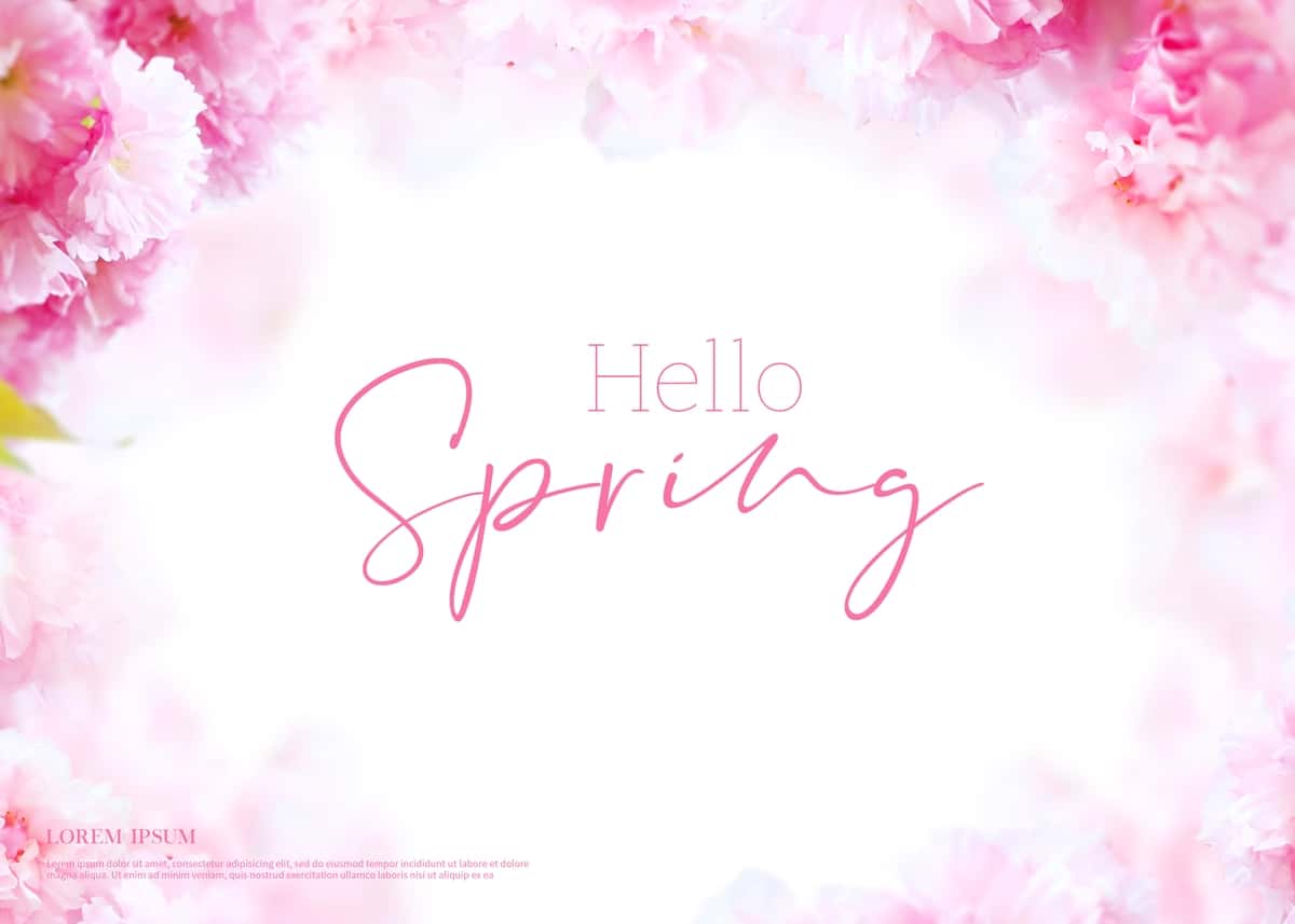 Go'zal bahor gullari karta mavsumi mavzusi salom bahor | Beautiful spring flowers card season theme hello spring 1