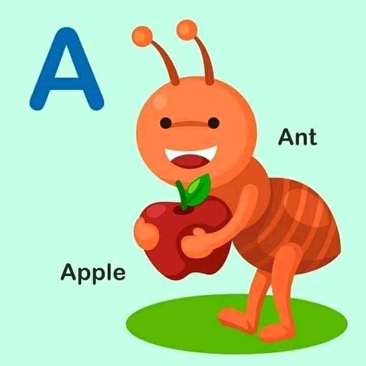 English alphabet 1