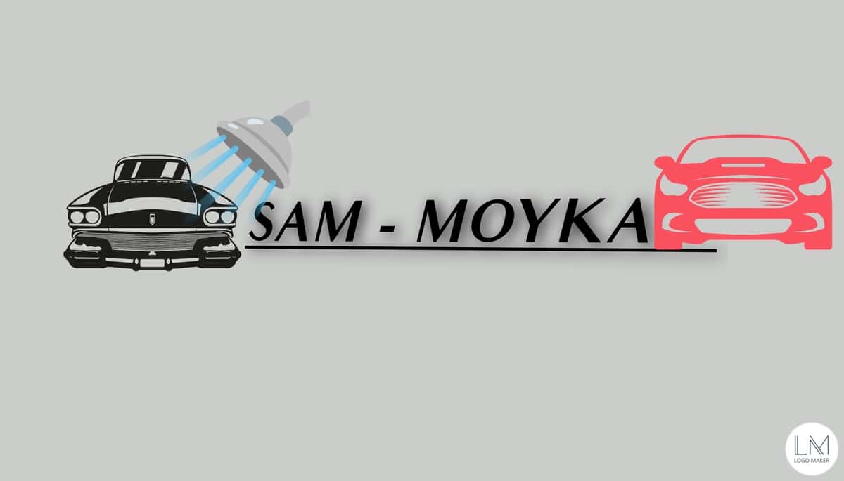 sam moy 2