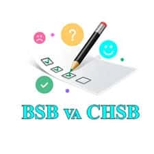 BSB va CHSB hisobotlarini tayyorlovchi 1