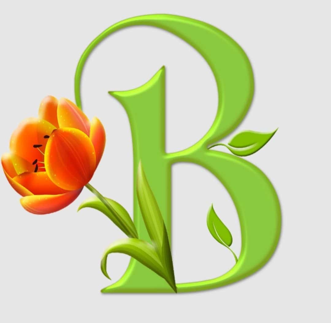 Bahoriy harflar 2