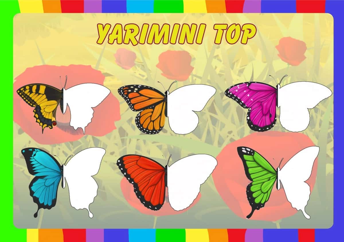 Rasmni yarmini toping 1