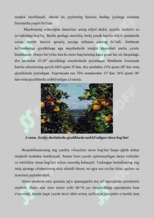 Sitrus mevali o’simliklarning ahamiyati, biologik xususiyatlari va  navlarining 7