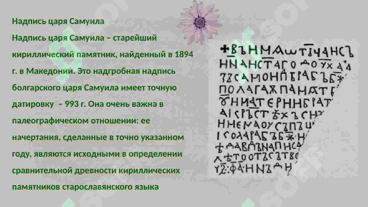 Первые письменные памятники 7