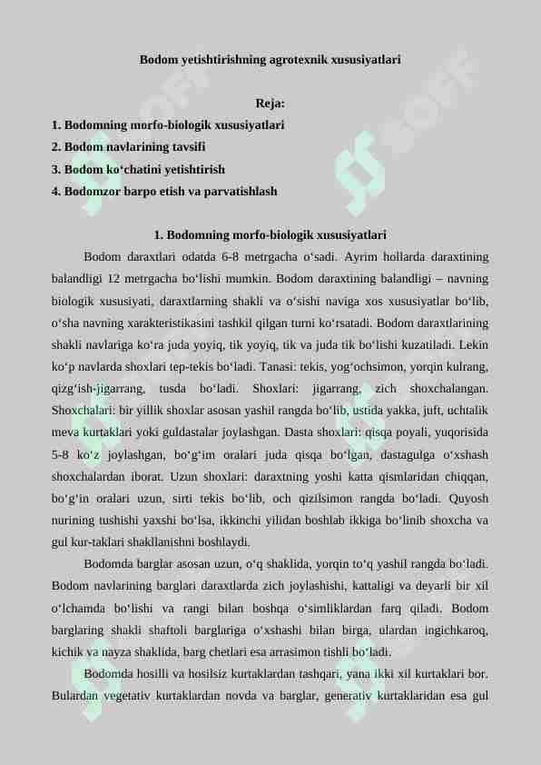Bodom yetishtirishning agrotexnik xususiyatlari 1