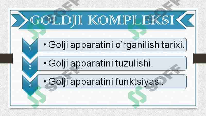 LIZOSOMA. GOLDJI APPARATI 2