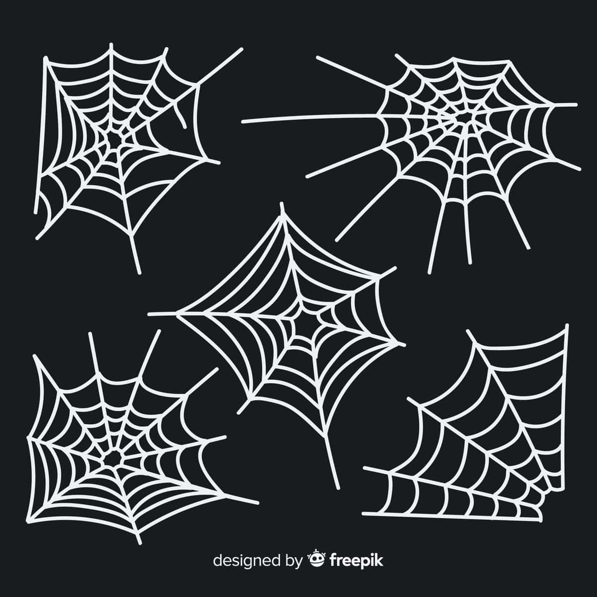 Qo'lda chizilgan o'rgimchak to'ri to'plami | Hand drawn cobweb collection 1