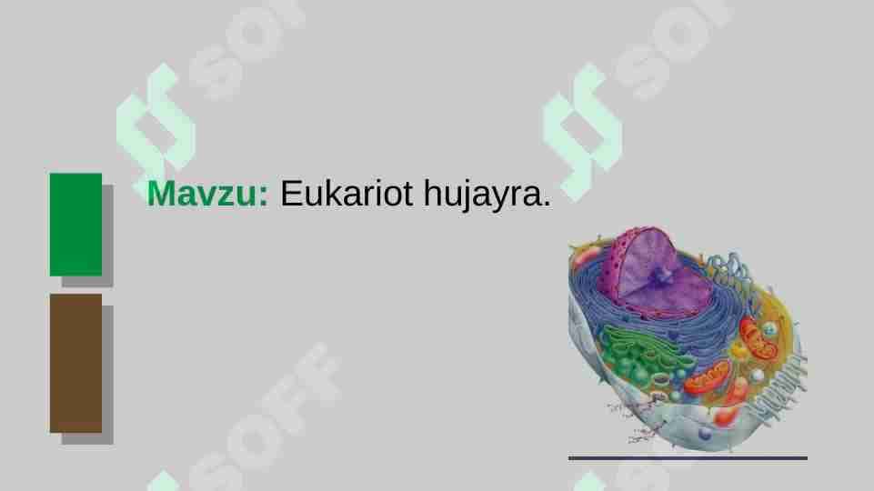 eukariot hujayra 1