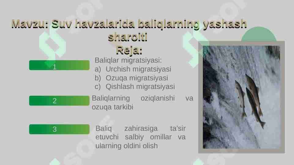 Suv havzalarida baliqlarning yashash sharoiti 1