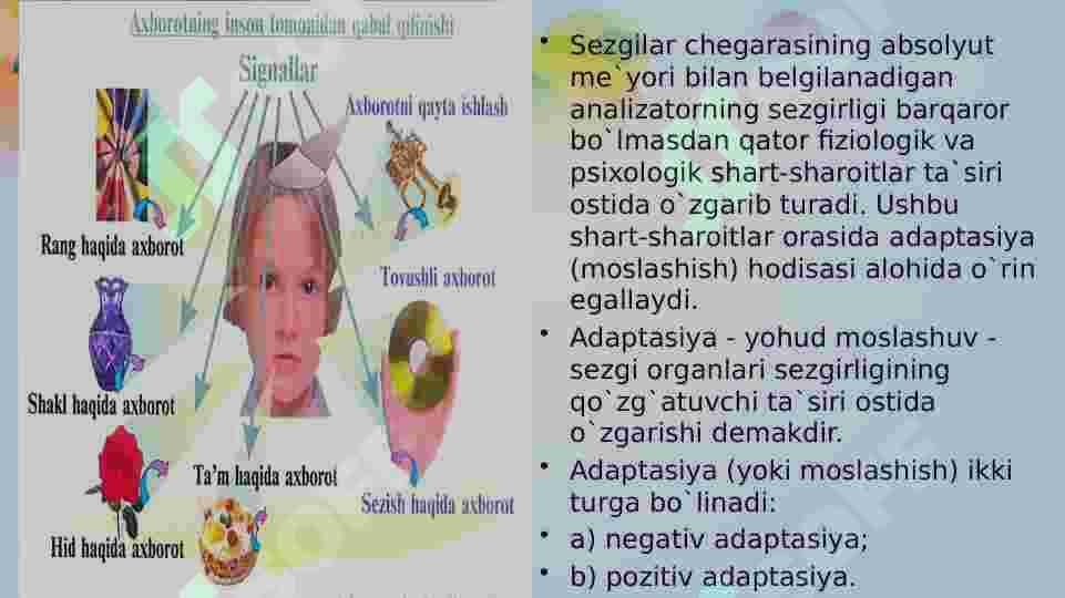 Sezgi va idrokning psixologik mohiyati, fiziologiyasi. 7