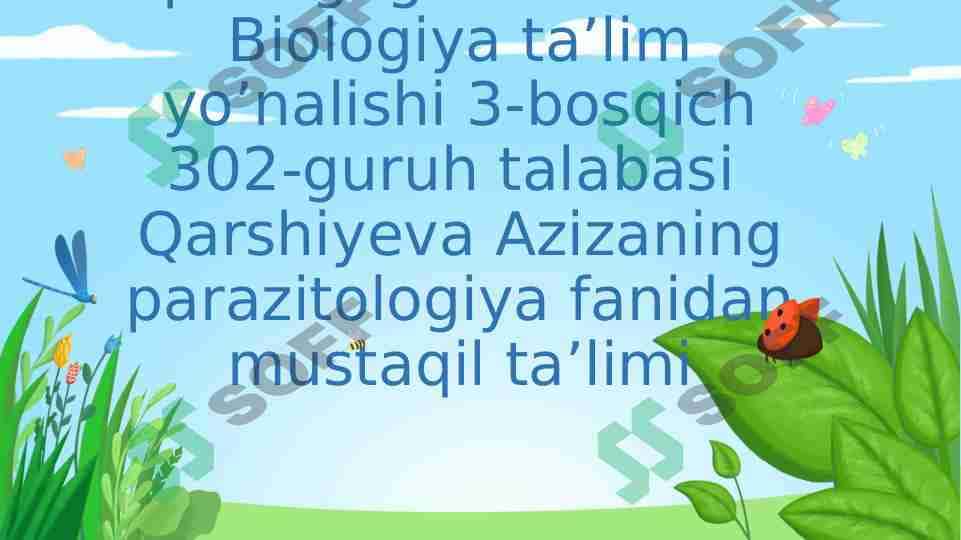 KNIDOSPORIDIYALAR VA MIKROSPORIDIYALAR TIPINING UMUMIY TAVSIFI, SISTEMATIKASI VA ULARNING MAHSULDOR HAYVONLARDA PARAZITLIK QILIB QO’ZG’ATADIGAN KASALLILLARI