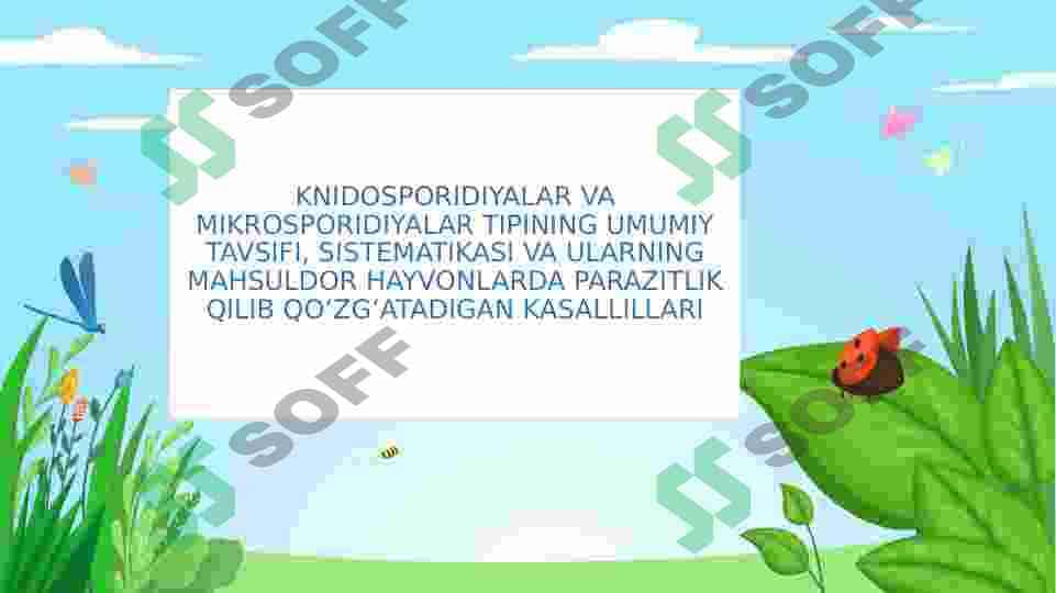 KNIDOSPORIDIYALAR VA MIKROSPORIDIYALAR TIPINING UMUMIY TAVSIFI, SISTEMATIKASI VA ULARNING MAHSULDOR HAYVONLARDA PARAZITLIK QILIB QO’ZG’ATADIGAN KASALLILLARI 2