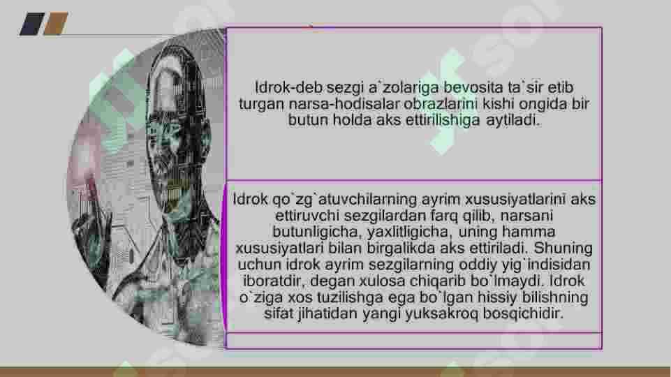 Idrok haqida tushuncha 3