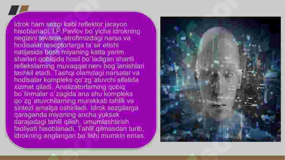 Idrok haqida tushuncha 4