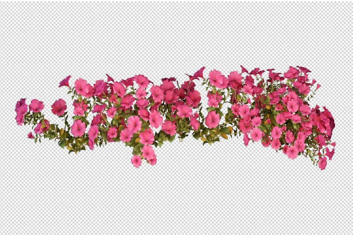 Chiroyli turli xil gullar 3D renderlash izolyatsiya qilingan | Beautiful various kinds flowers 3d rendering isolated 1