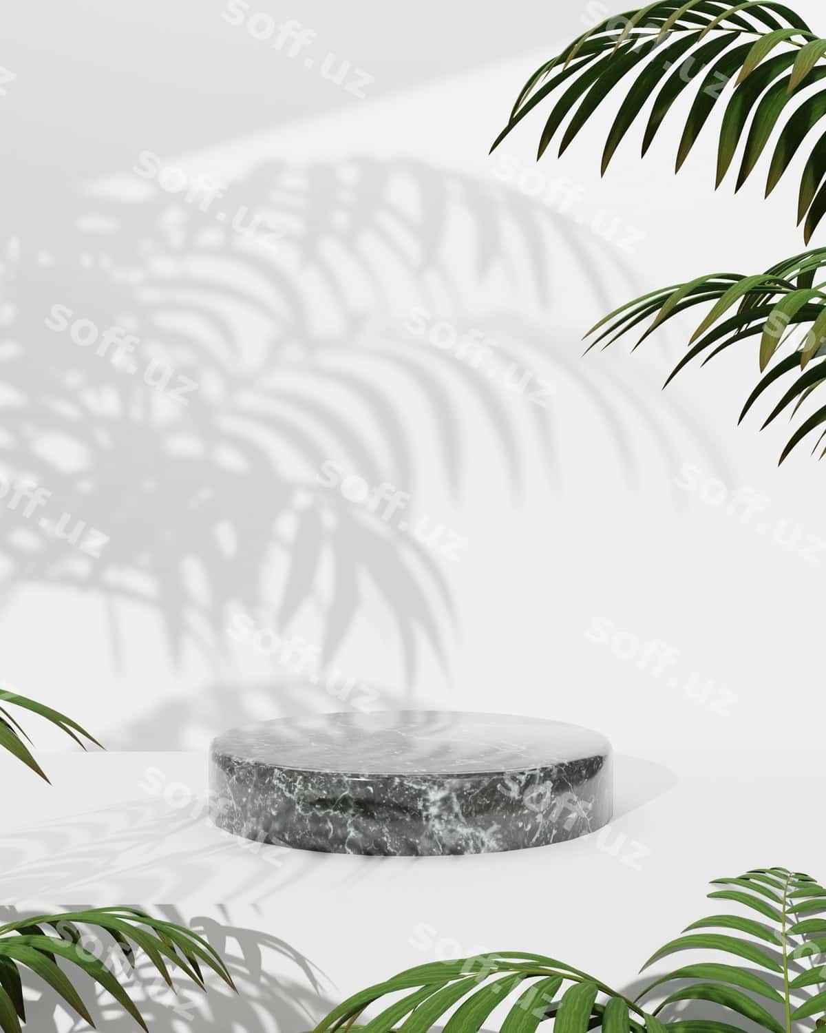 3-oʻlchovli oq podium marble zavodli | 3d podium white with marble plant 1