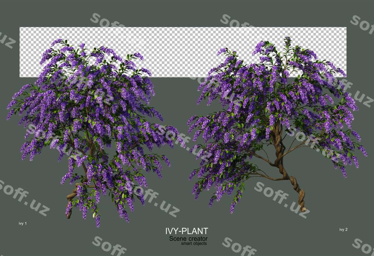3d render gulbosh rangli gullar bilan | 3d render ivy with colorful flowers 1
