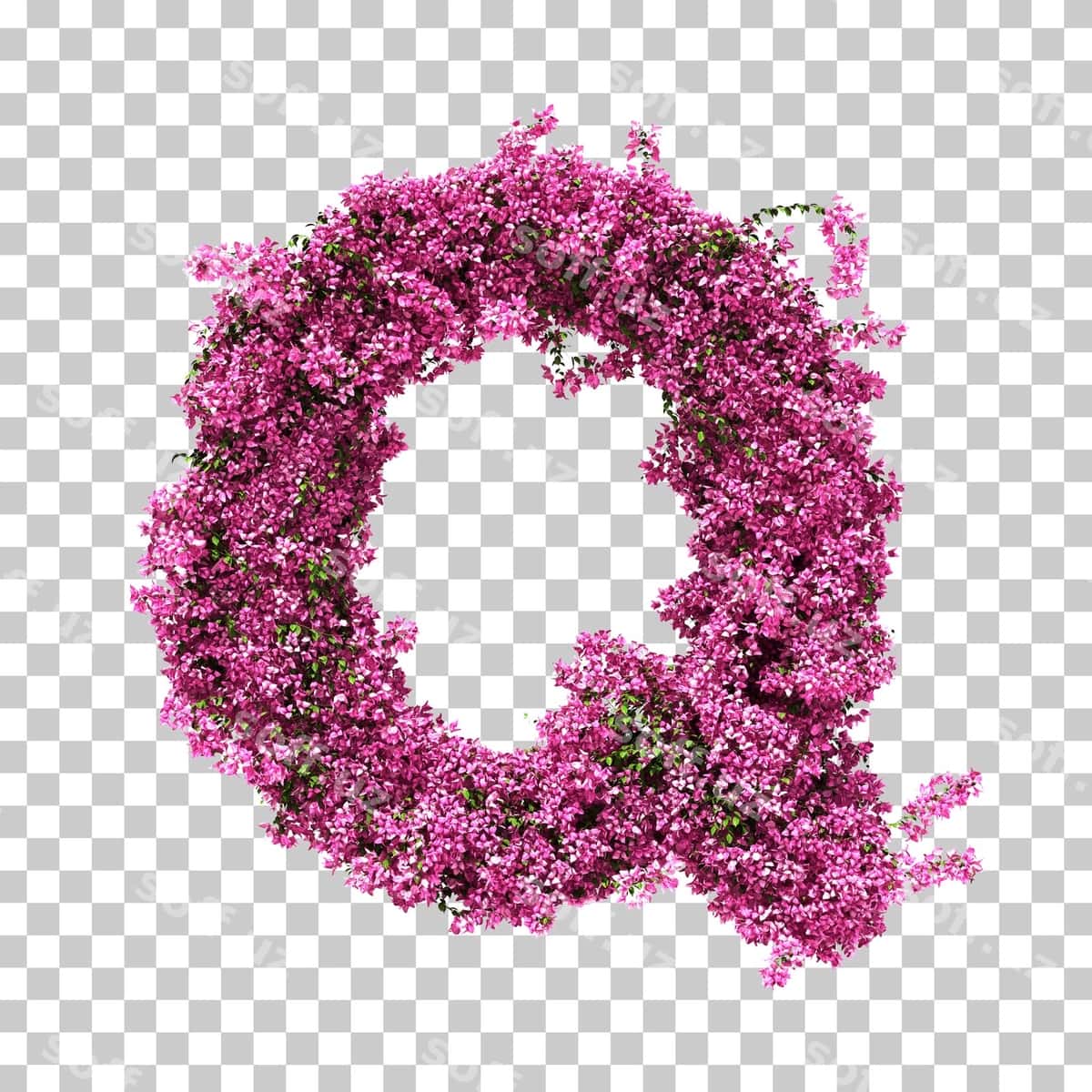 3d rendering buvaynvo q harfi | 3d rendering bougainvillea letter q 1